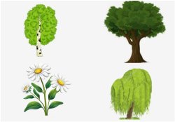 Логическая игра - что лишнее