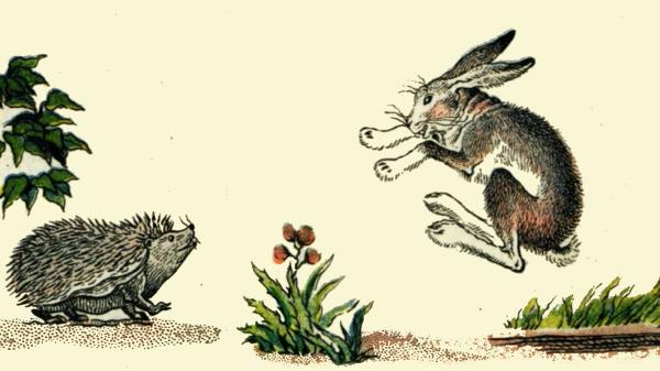 Сказка для детей про зайца и ёжика
