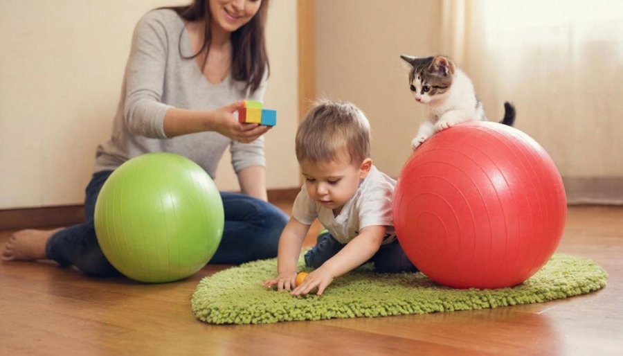 онлайн курс занятий для родителей