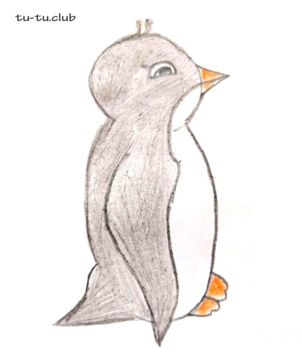 Уроки рисования - пингвинчик