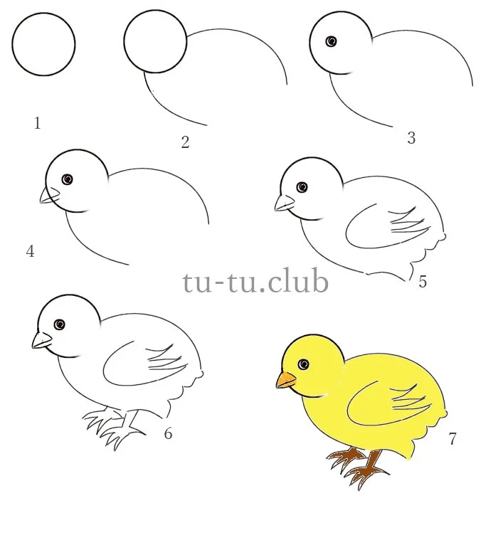 Уроки рисования - цыпленок
