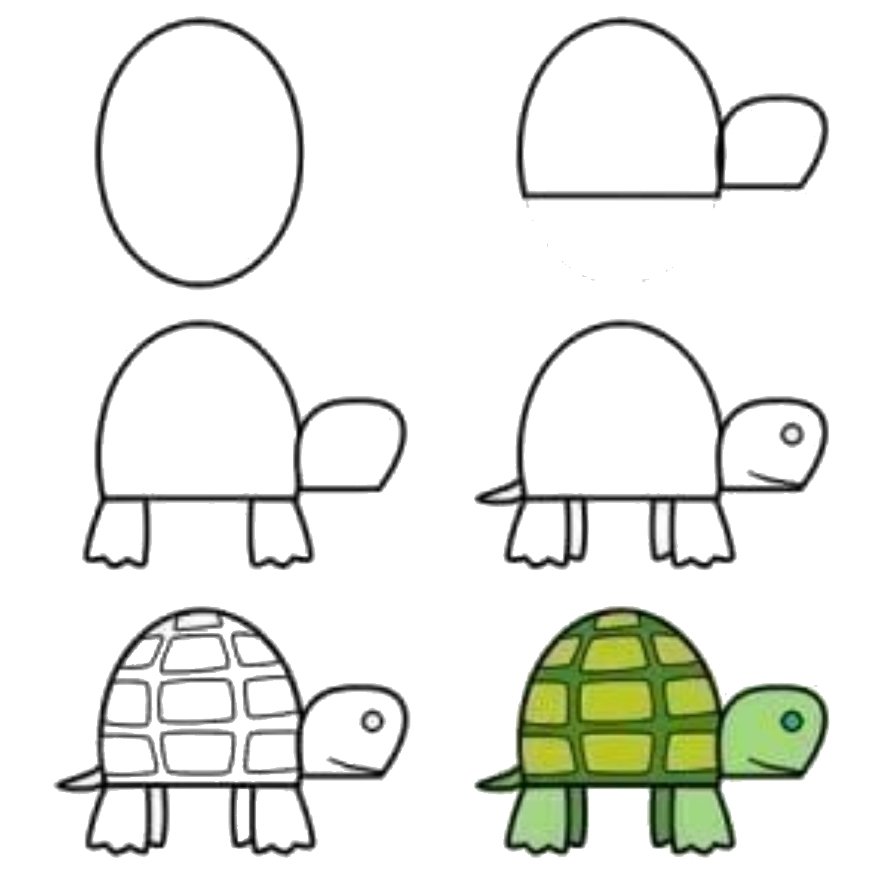 Уроки рисования - черепаха